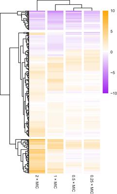 A whole-genome assay identifies four principal gene functions that confer tolerance of meropenem stress upon Escherichia coli